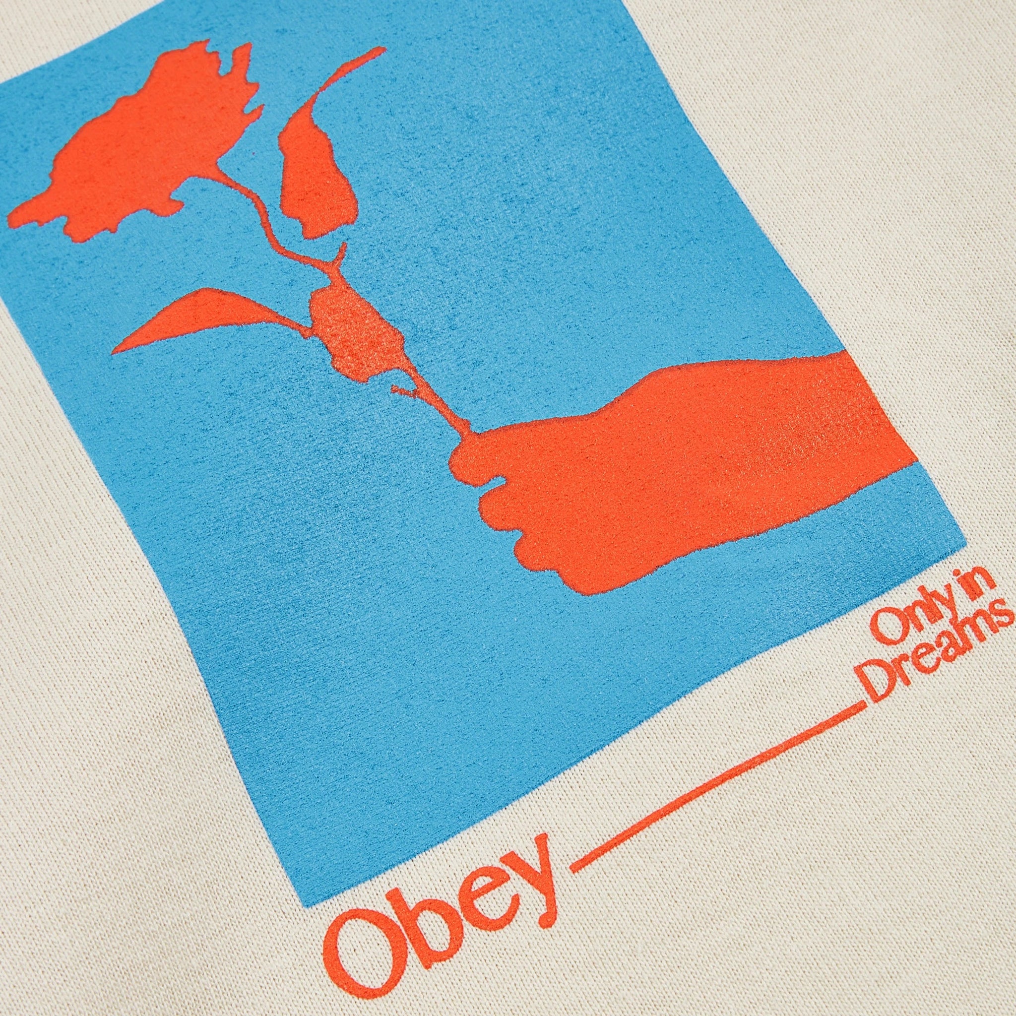 OBEY ONLY IN DREAMS