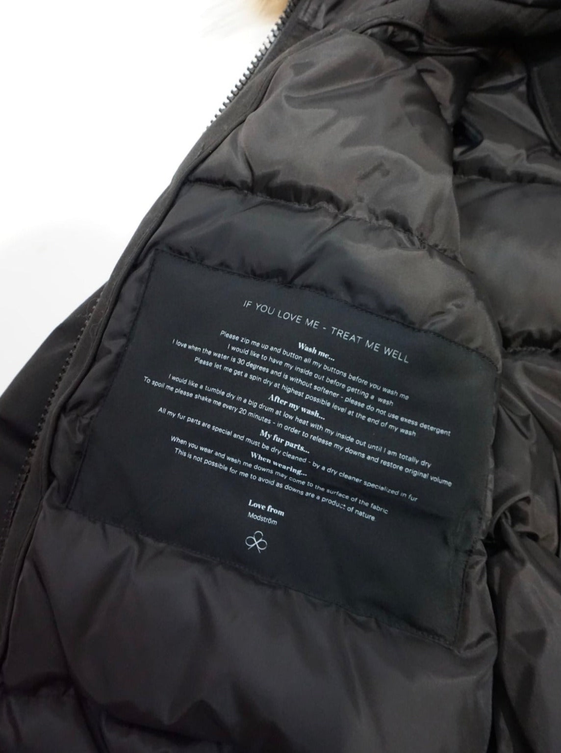 THE JACKET (LIMITED EDITION)